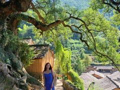 -杨家堂村