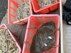 -南沙十九涌渔人码头-南门