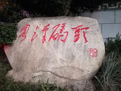 -武汉两江游览·夜游长江(汉口粤汉码头)