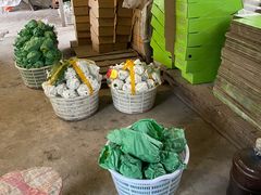 -马陆小张葡萄园农家乐