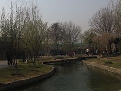 -春风习习