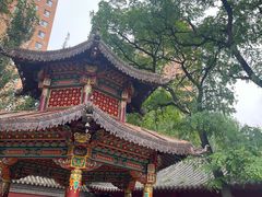 -护国法轮寺