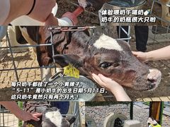 -君乐宝优致牧场