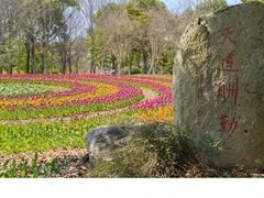 -上海鲜花港