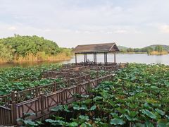 -上海市保健医疗中心