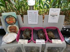 -龙海鲜螃蟹王(宏茂桥店)