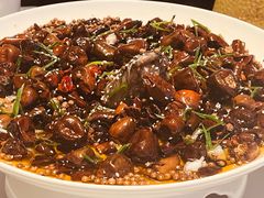 -桂满陇·海市蜃楼·黑金(国金店)