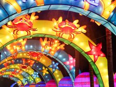 -欢乐海岸椰林沙滩-2025湾区超级灯会