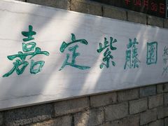 -嘉定紫藤园