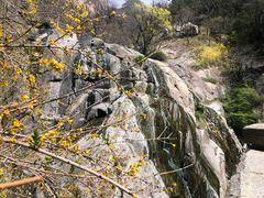 -泰山风景名胜区