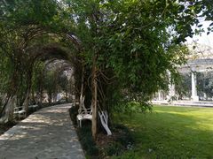 -合肥滨湖国家森林公园