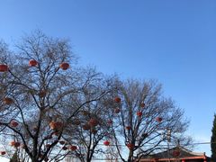 -大雁塔北广场音乐喷泉