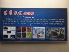 -甘肃地质博物馆