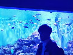 -大连圣亚海洋世界