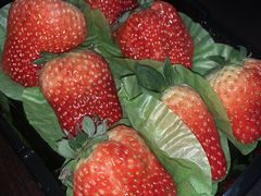 -百果园PAGODA(西四地铁站店)