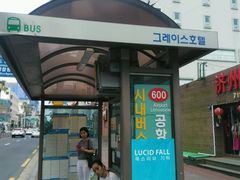 -ABC MART(济州莲洞店 )