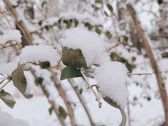 -大兴体育局室外游泳馆