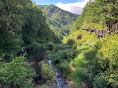 -苏木山森林公园