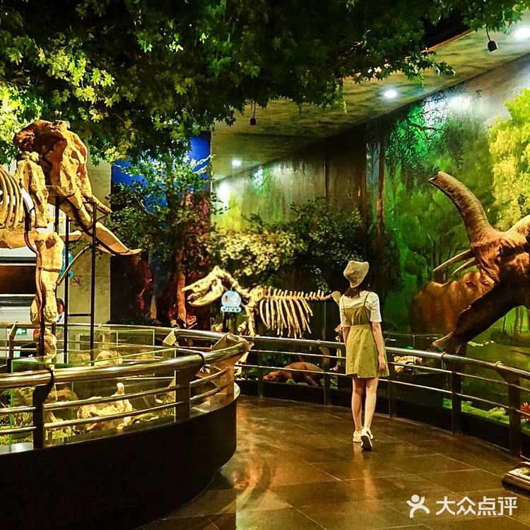 广州越秀公园不只是公园,还有自然博物馆