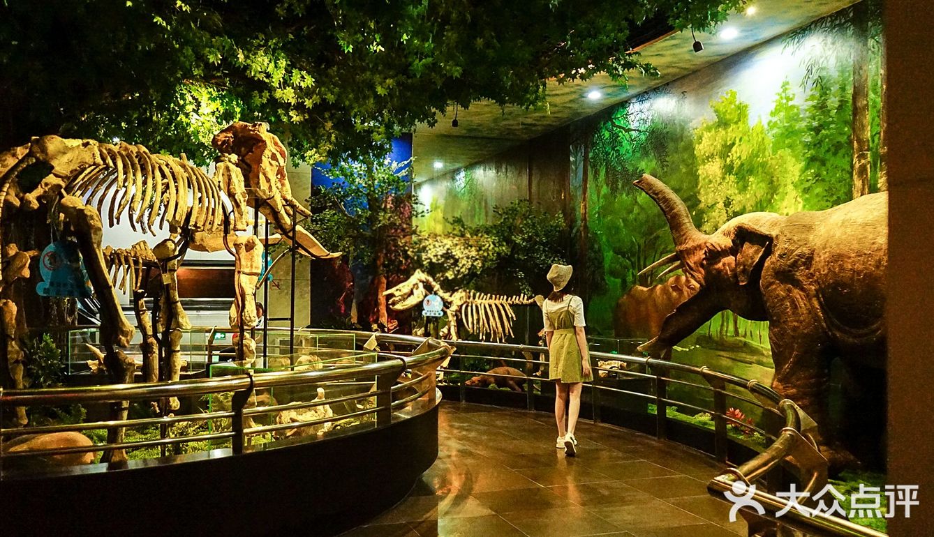 广州越秀公园不只是公园，还有自然博物馆
