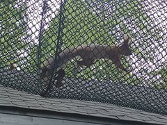 -黄海国家森林公园