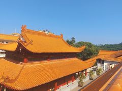 -深圳仙湖植物园