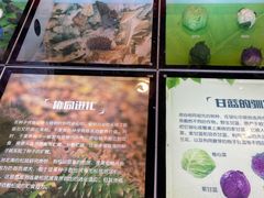 -南京科技馆