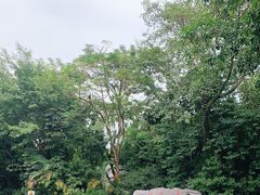 -深圳隐秀山居酒店
