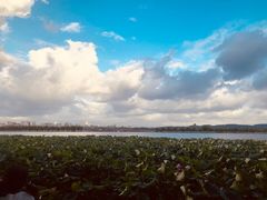 -CoCo都可(湖滨银泰店B区店)