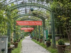 -老磨油饼(高陵店)
