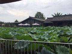 -莫催咖啡