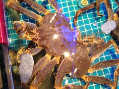 -驻海渔市(置信店)