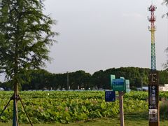 -嘉北郊野公园