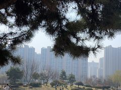 -木塔寺遗址生态公园