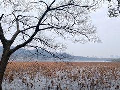 -浙江省博物馆(孤山馆区)