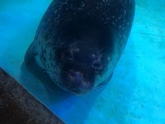 -波塞冬旅游度假区