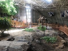 -中国第四纪冰川遗迹陈列馆