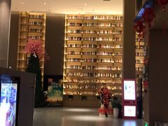 -深影国际影城(学院南路店CGS中国巨幕店)