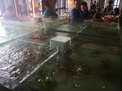 -解放碑威斯汀酒店-知味国际美食餐厅