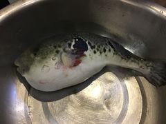 -红叶日料·放题·海胆·定食(星海店)