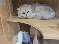 -悠米私人影院(街道口店)