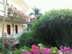 android_upload_pic-三亚亚龙湾凯莱仙人掌度假酒店