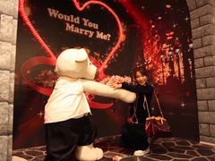 -济州岛泰迪熊博物馆