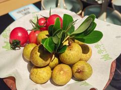 -季季山·云南野生菌火锅(上海首店)