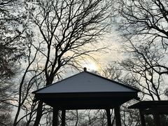 -紫金山山顶公园
