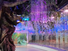 -正佳雨林生态植物园