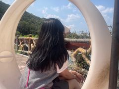 -方城县七峰山生态旅游区