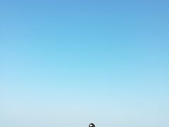 -贝壳沙滩
