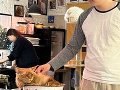 -平行世界·猫咖(首经贸店)