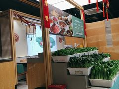 -九孔·筒骨莲藕汤锅(大明宫万达店)